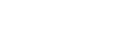 Byte Flicker